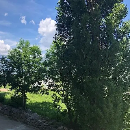 Prados De Velarta Setenta Appartement Cerler